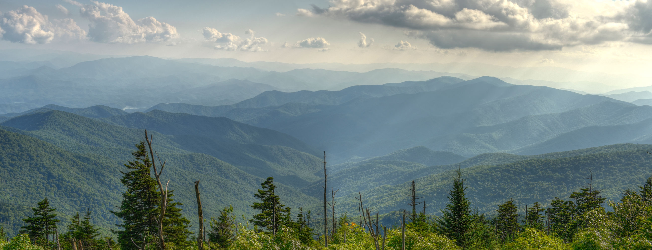 My Solution Services